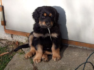 Barolo