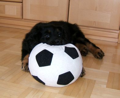Bastian