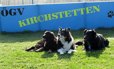 Cassy, Bonny, Balou