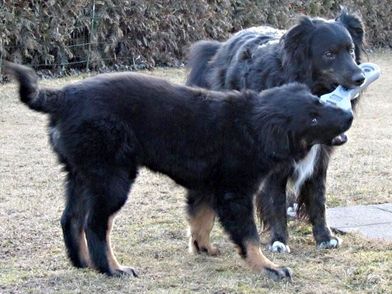 Cassy & Balou