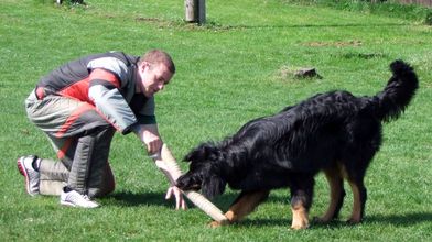 Bastian