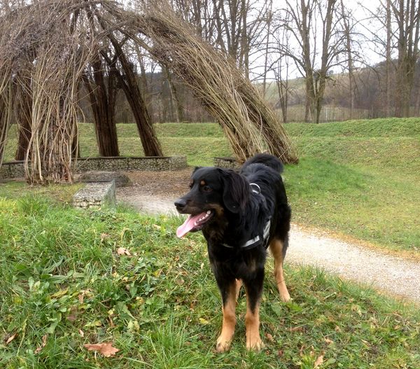 Elim im Kurpark